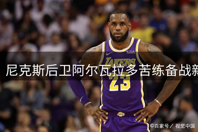 尼克斯后卫阿尔瓦拉多苦练备战新赛季，晒高强度训练照引热议